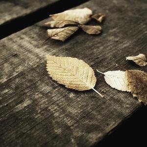 男生的🍌和女生的㊙️在一起
